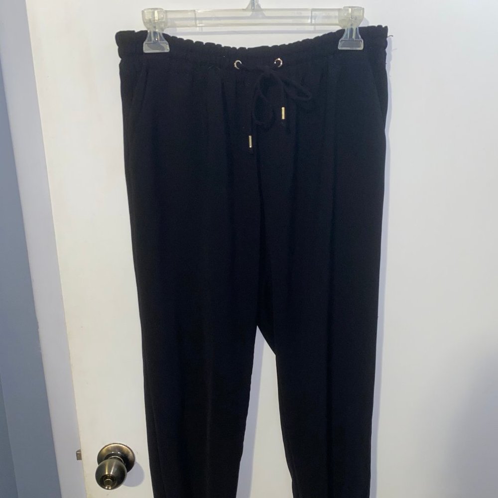 Express Dress Jogger Pants